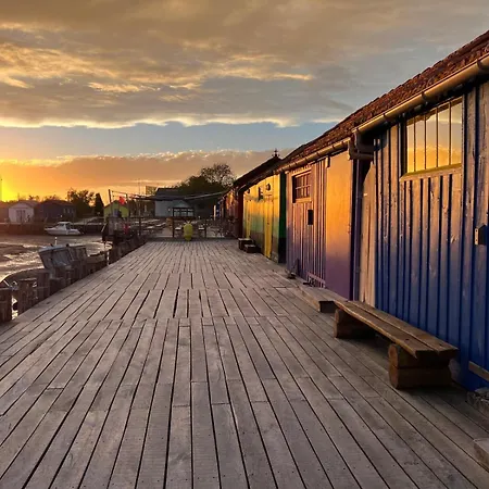Maison De Charme First D'aromm - Plages, Centre Ville, Phare De Chassiron - Calme, Jardin Clos, Terrasse * Saint-Denis-dʼOléron