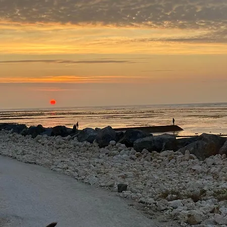 Maison De Charme First D'aromm - Plages, Centre Ville, Phare De Chassiron - Calme, Jardin Clos, Terrasse