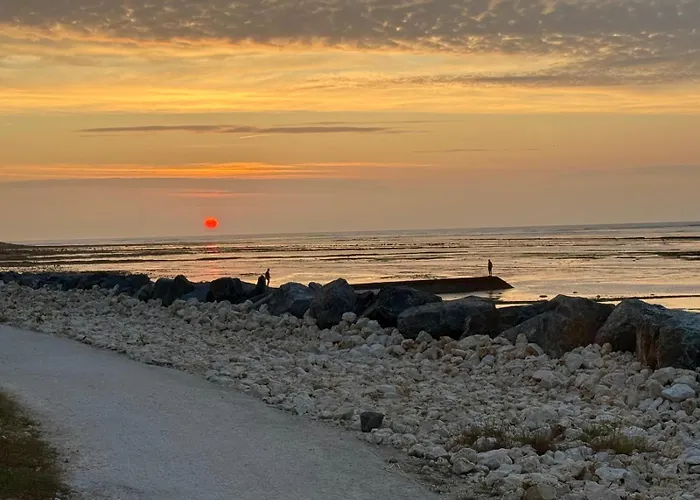 Maison De Charme First D'aromm - Plages, Centre Ville, Phare De Chassiron - Calme, Jardin Clos, Terrasse